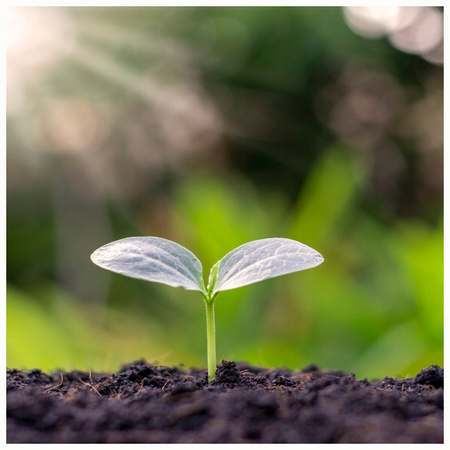 SIARKOPOL – WAPNO DOLOMITOWE DROBNO MIELONE ODKWASZAJĄCE 25 KG