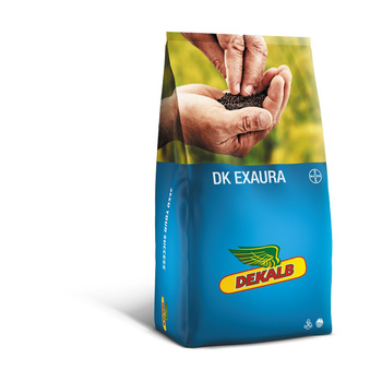 RZEPAK OZIMY DEKALB - DK EXAURA