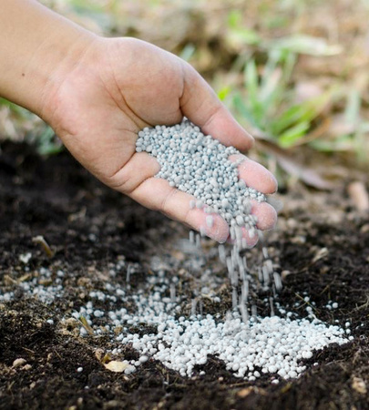 FLOROVIT – NAWÓZ DO TUI I ŻYWOTNIKÓW 4 KG