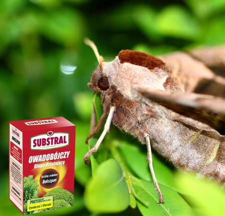 SUBSTRAL – POLYSECT BUKSZPAN OWADOBÓJCZY NA ĆMĘ BUKSZPANOWĄ 100 ML