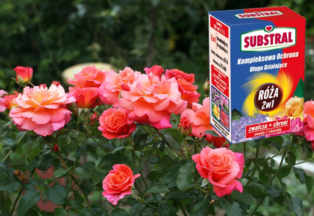 SUBSTRAL - RÓŻA 2W1 KOMPLEKSOWA OCHRONA 100 ML
