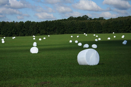 Folia do sianokiszonki słomy HERKULES 750mm BIAŁA