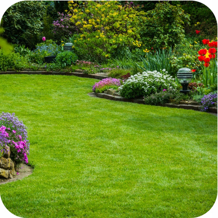 FLOROVIT - SZYBKI EFEKT 10 KG 