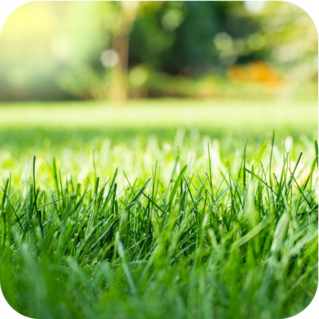 SIARKOPOL – OGRÓD 2001 NAWÓZ DO TRAWNIKA ANTYMECH 25 KG