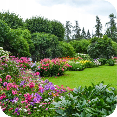 SUBSTRAL – RÓŻA 2W1 KOMPLEKSOWA OCHRONA 2W1 RÓŻE 800ML